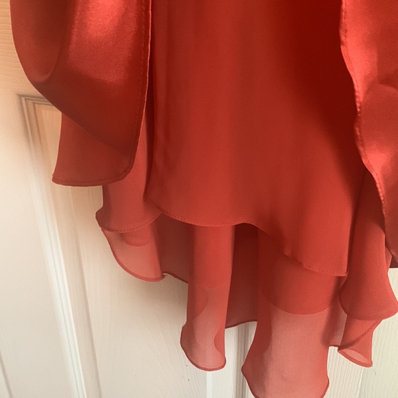 *David’s Bridal Burnt Orange Tea Length Dress Size 4 - Picture 4 of 12